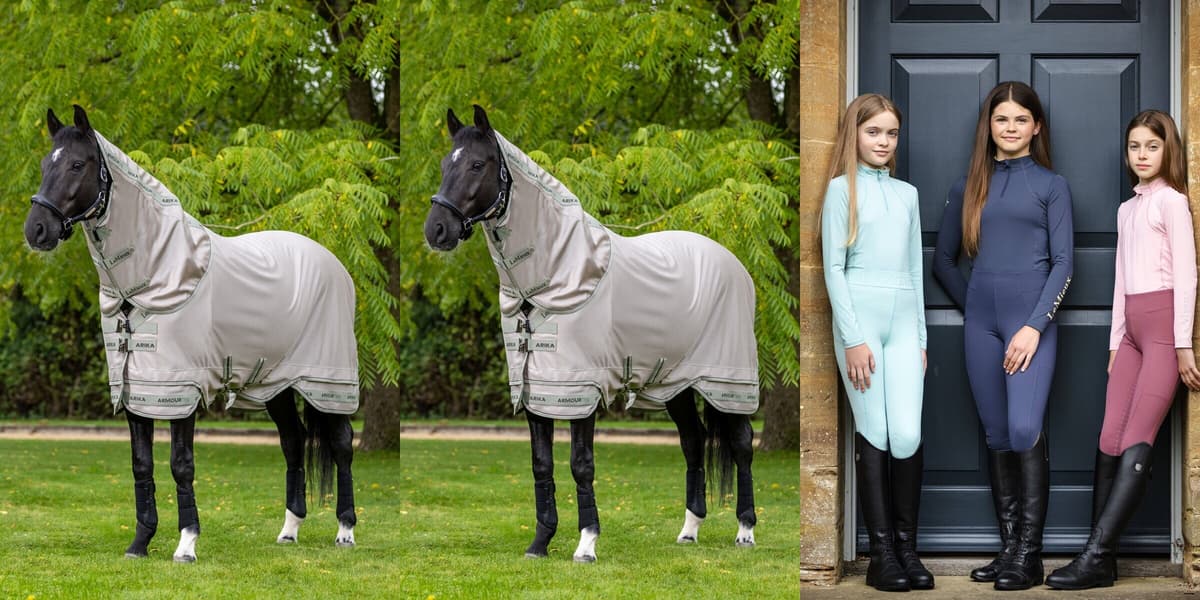 LeMieux B2B Trade Portal Interface